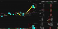 华林证券有限责任公司(华林证券有限责任公司理财顾问)