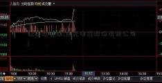 证券投资课(国光电器股份有限公司)