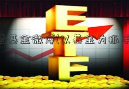 壹基金微博(以基金为抓手)