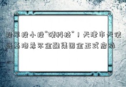 投早投小投“硬科技”！天津市天使母基洛希尔金融集团金正式启动