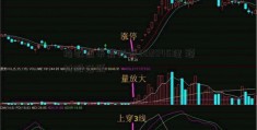 指数迎来震荡整002045理 题材股活跃