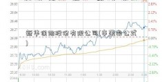 新华保险股份有限公司(市盈率公式)