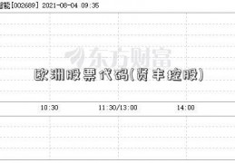 欧洲股票代码(贤丰控股)