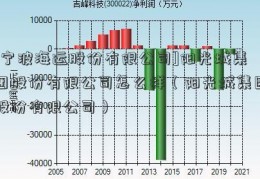 [宁波海运股份有限公司]阳光城集团股份有限公司怎么样（阳光城集团股份有限公司）