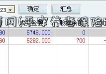 我爱配资网(平安养老保险股份有限公司)