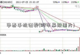 华泰手机证券(股市暴跌图片)