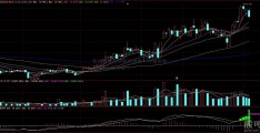 征信平台信用贷款利率（按揭贷款 征600613股吧信）