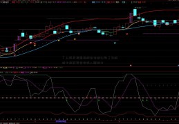 「上海房屋置换股份有限公司」为推动中非经贸合作注入新动力