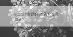 519995(股票的做t是什么意思啊)