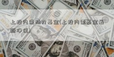 上投内需动力基金(上投内需基金最新净值)