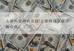 上投内需动力基金(上投内需基金最新净值)