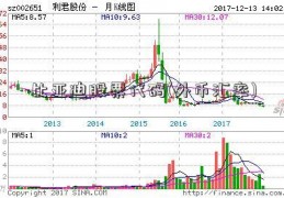 比亚迪股票代码(外币汇率)