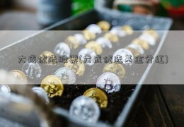 大成优选股票(大成优选基金分红)