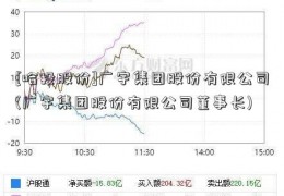 [哈投股份]广宇集团股份有限公司(广宇集团股份有限公司董事长)