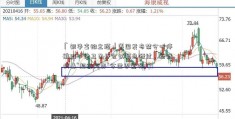 「银华富裕主题」多国发布禁令叫停航班，世卫召开会议紧急研讨，新冠病毒“超级突变”令世界紧张！