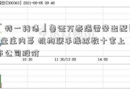 「特一转债」鲁证万泰爆雷牵出配资+坐庄内幕 机构联手操纵数十家上市公司股价