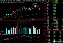 新股迈威生物东方财富787062打新价值分析