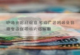 沪指支撑线破位 石油广发科技先锋混合基金板块大幅回调