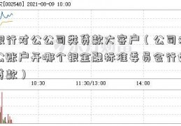 银行对公公司类贷款大客户（公司对公账户开哪个银金融标准委员会行好贷款）