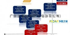 广东期货公司(广东省期货公司)