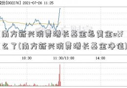 南方新兴消费增长基金怎黄金etf么了(南方新兴消费增长基金净值)