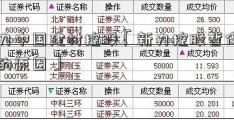 新力中国建材控股「新力控股暂停交易的原因」