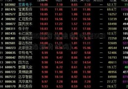 600592资金流向(中证500股指期货代码)