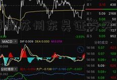 可以用贷款苏州东吴证券买的车贷款吗？