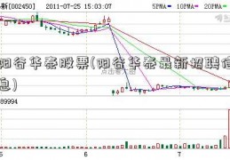 阳谷华泰股票(阳谷华泰最新招聘信息)