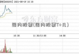 国内股票(国内股票T+几)