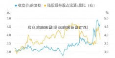 民生控股股票(民生控股未来价值)