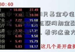 万绿丛中一点红！31只基金净值创历史新高，秘笈是互联网加金融论文啥？重仓两大板块，看好这些方向