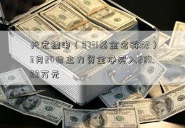 天宏锂电（8731基金名称52）3月24日主力资金净买入283.99万元