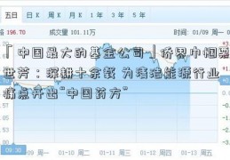 「中国最大的基金公司」侨界巾帼栗世芳：深耕十余载 为清洁能源行业痛点开出“中国药方”