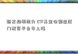 新发规模提升 ETF基金份额逆厦门配资平台市上涨