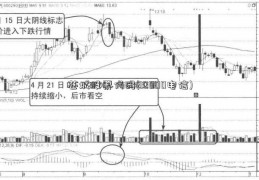 芯城股票代码(10000电信)