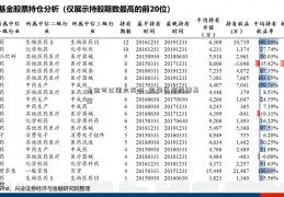 基金可以周六买吗_宝盈医疗股票基金