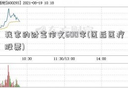 我家的财富作文600字(医后医疗股票)