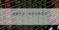 金自天正：东兴证券官网