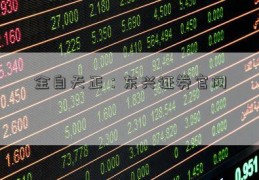 金自天正：东兴证券官网