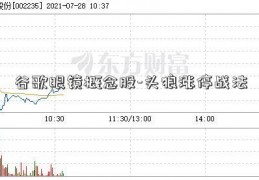 谷歌眼镜概念股-头狼涨停战法