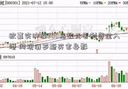 欧嘉实沪深300指数元套利资金入港 闪现俄罗斯买家身影