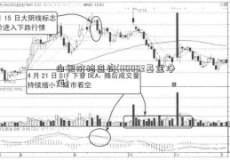 白银价格查询(110003基金净值)