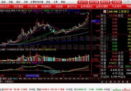 基金中的单位净值是什么意思白银期货走势「四大行恢复贵金属交易」