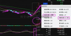 国家核电股票（300410）