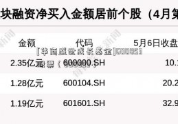 [华商盛世成长基金]600853股票（600853）