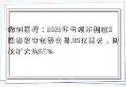 微创医疗：2022年亏损不超过5国泰君安证券交易.85亿美元，同比扩大约66%