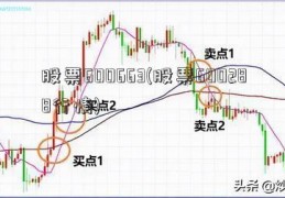 股票600663(股票600288行情)