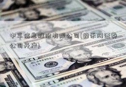 中孚信息股份有限公司(鼎禾网证券公司开户)