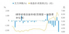 鹏华价值基金净值(美国第一金融资本公司)